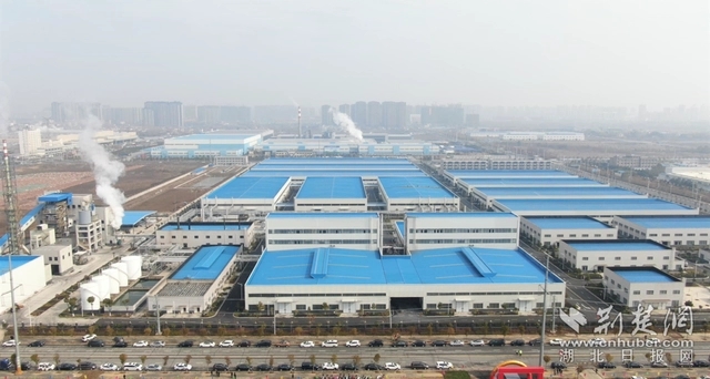 園區(qū)企業(yè)。記者 魯偉龍 攝.webp.jpg