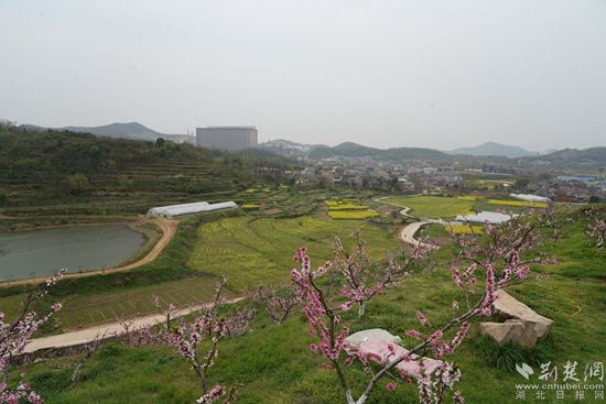 文勝生態(tài)園.JPG.JPG