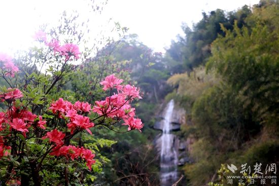 黃龍山頂，風(fēng)景如畫 黃錚 攝_副本.jpg.jpg