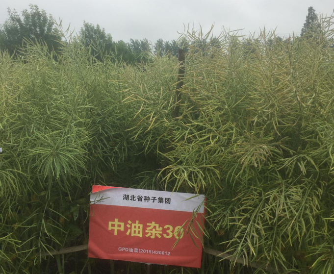 正在上傳...