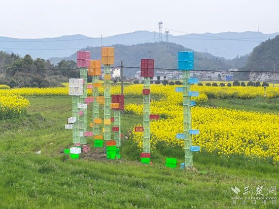 咸安 花2.jpg.jpg